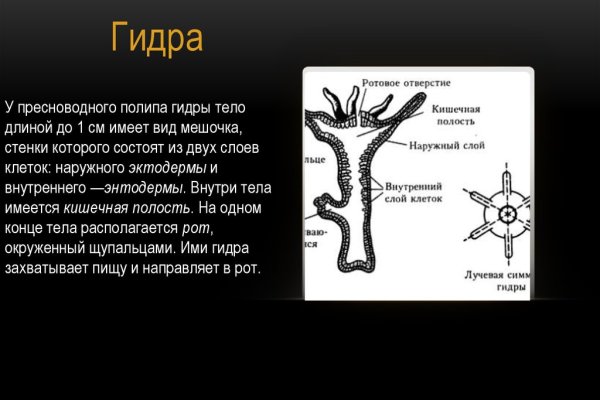 Как вернуть аккаунт на кракене