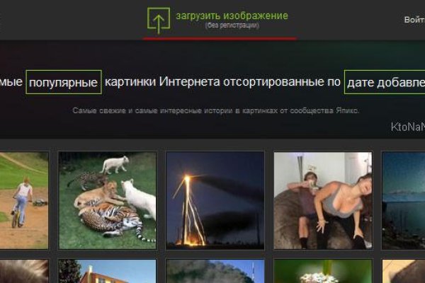 Как вывести деньги с kraken